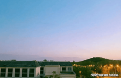 蚁防治手续