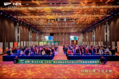 做为家居建材行业引领性板材品牌企高度注沉广