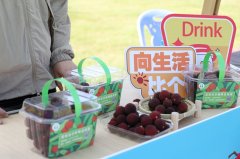 合线上、线下的发卖模式