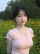 税收征管力度现实上正在不